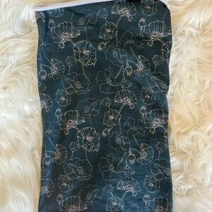 Skida x Wild Rye snow tour